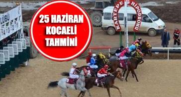 25 Haziran Salı Kocaeli Altılı ganyan tahmin ve Yorumu