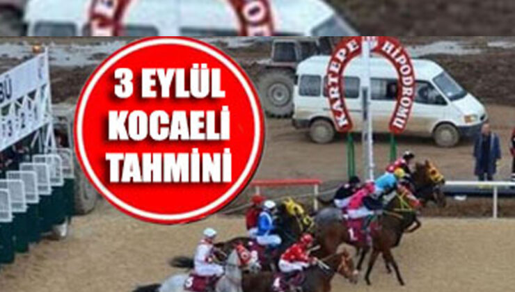 3 Eylül Salı Kocaeli Altılı ganyan tahmin ve yorumu