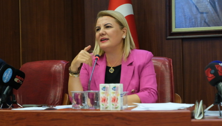 Elektriğin bağlanmasıyla barınağın inşasına başlayacağız