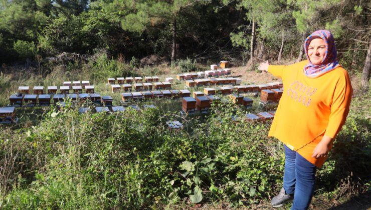 Büyükşehir’den kadın çiftçilere tam destek