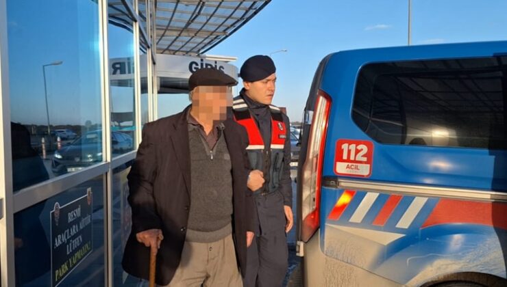Köpeğe cinsel saldırı. 76 yaşındaki adam tutuklandı