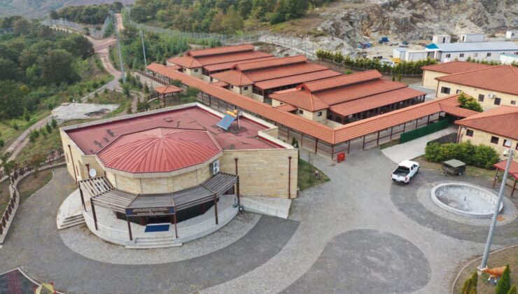 Büyükşehir’den mama alım ihalesi açıklaması