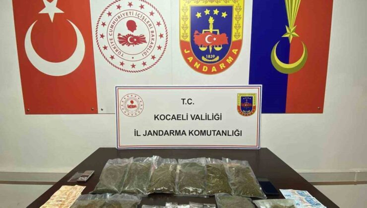 Jandarma bonzai ele geçirdi