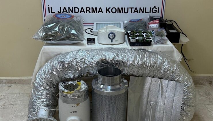 Jandarmadan İzmit’te uyuşturucu operasyonu 4 gözaltı
