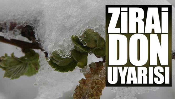 Valilik uyarıda bulundu. Kocaeli’de zirai don bekleniyor