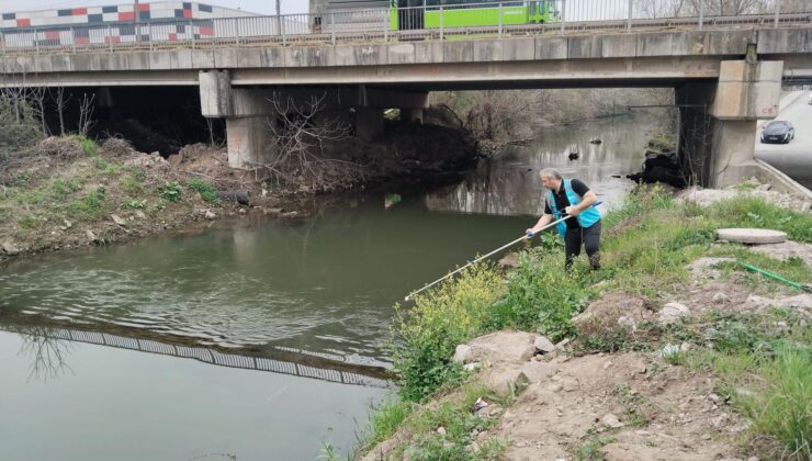 İzmit Körfezi’ne akan 12 dere yakından izleniyor