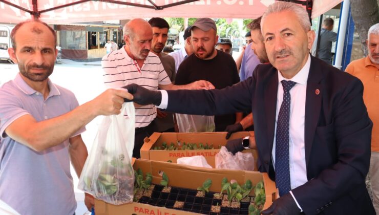 İzmit Belediyesinden ücretsiz fide desteği