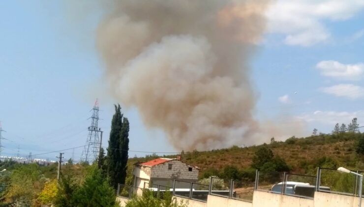 Derince ormanlık alanda yangın çıktı