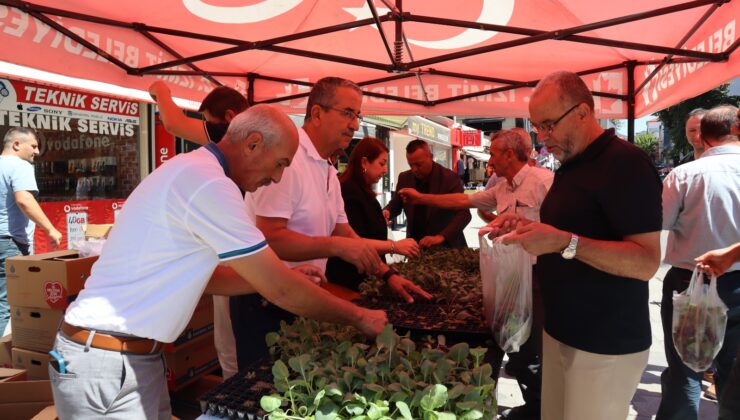 İzmit Belediyesinden vatandaşlara fide hediyesi