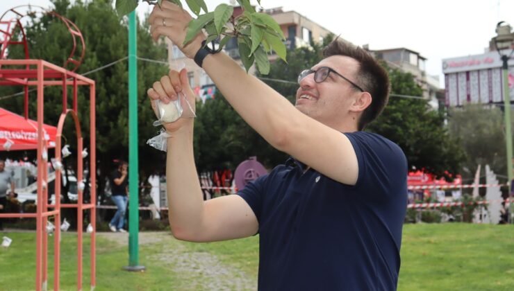 İzmitliler güne ağaçtan pişmaniye toplayarak başladı!