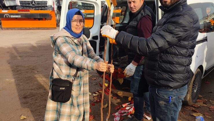 Büyükşehir, Trabzon hurması fidanı dağıtıyor