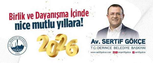 YENİ YIL KUTLAMA İLANIDIR