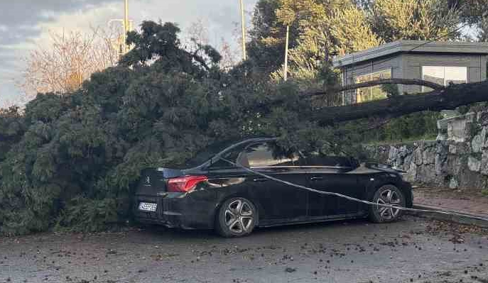 Fırtına Kocaeli’de hayatı felç etti.  iki otomobilin üzerine ağaç devrildi