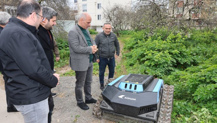 Körfez’de otları insanlar yerine onlar biçecek