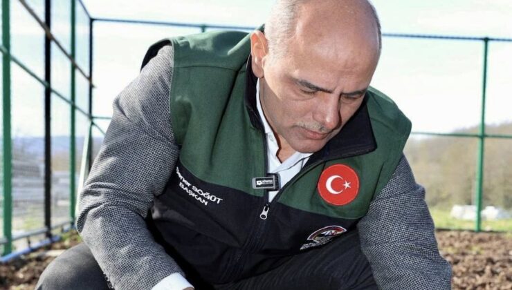 Körfez’de ata tohumu üretilecek