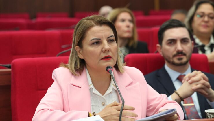 İzmit’te sokak hayvanlarına modern yaşam alanı