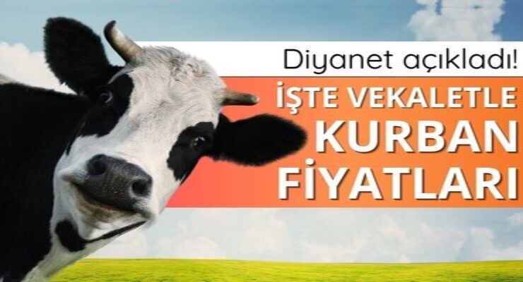 Vekaletle kurban kesim bedelleri açıklandı
