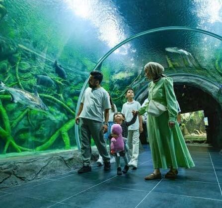 Kocaeli’nin yeni vitrini Körfez Aqua’ya ilgi çok yüksek