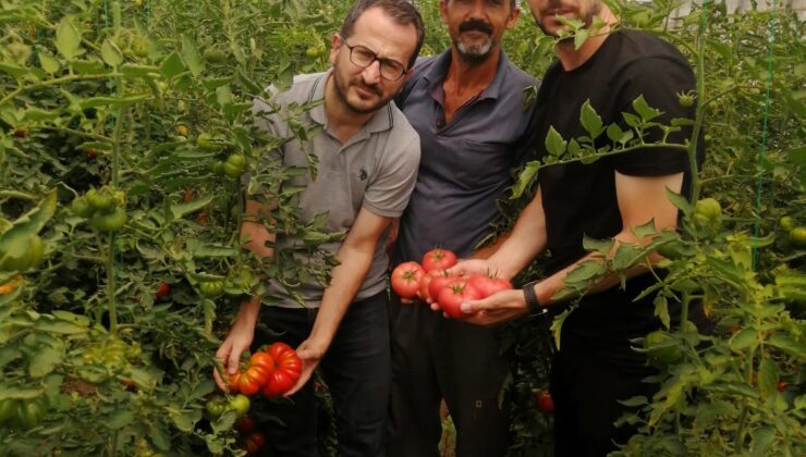 Büyükşehir her alanda çiftçinin yanında