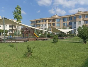 Başiskele’yi sivri sinekler bastı. Belediye neden ilaçlama yapmıyor