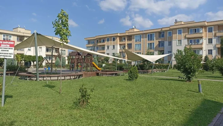 Başiskele’yi sivri sinekler bastı. Belediye neden ilaçlama yapmıyor