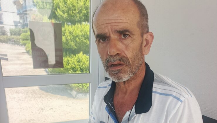 Ağaç kesilmezse mezarı başka yere taşıyacak
