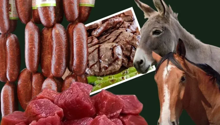 Ünlü sucuk markasında eşek ve at eti çıktı