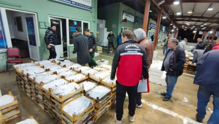 Başiskele’de Balık Halinde denetimler sıkılaştırıldı