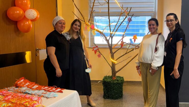Anne ve Bebek Sağlığı için güvenli adımlar
