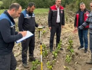 Başiskele’de selden etkilenen tarım alanlarında hasar tespiti