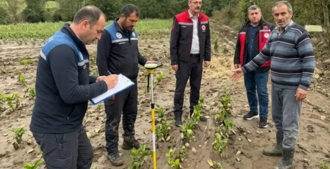 Başiskele’de selden etkilenen tarım alanlarında hasar tespiti