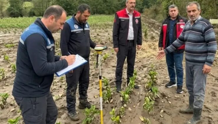 Başiskele’de selden etkilenen tarım alanlarında hasar tespiti