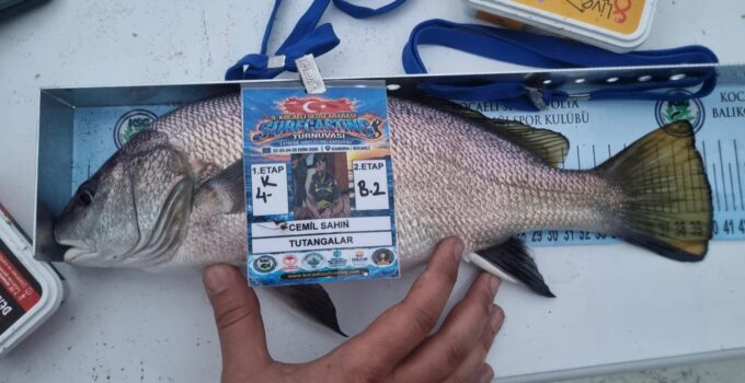 Kandıra’da oltaya 41 santimetrelik “eşkina” takıldı