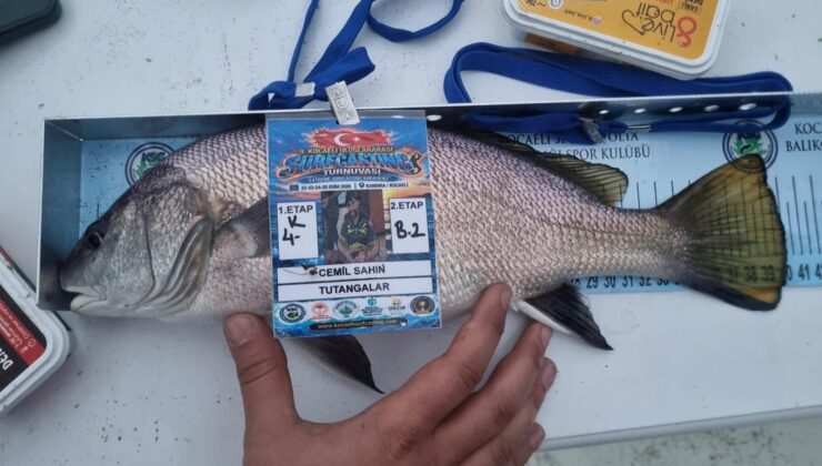 Kandıra’da oltaya 41 santimetrelik “eşkina” takıldı