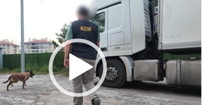 Kaçak sigaraları özel eğitimli köpekler buldu