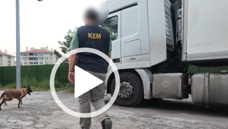 Kaçak sigaraları özel eğitimli köpekler buldu